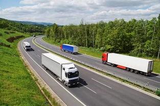 一圖讀懂 道路貨物運輸經營許可證辦理全流程