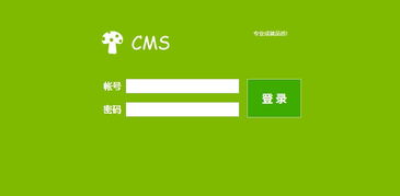 龍巖企業(yè)網(wǎng)站建設(shè)全攻略 從方案規(guī)劃到成功上線