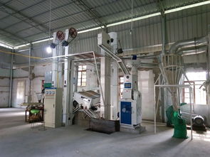 賢昌鎮(zhèn)鋅硒米加工廠 產(chǎn)業(yè)新引擎，鋪就村民致富路