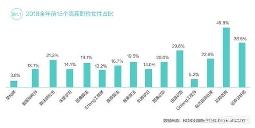 工程計(jì)算、計(jì)算機(jī)科學(xué)與技術(shù)、軟件工程、信息工程及信息技術(shù)咨詢 薪酬對比與職業(yè)前景分析